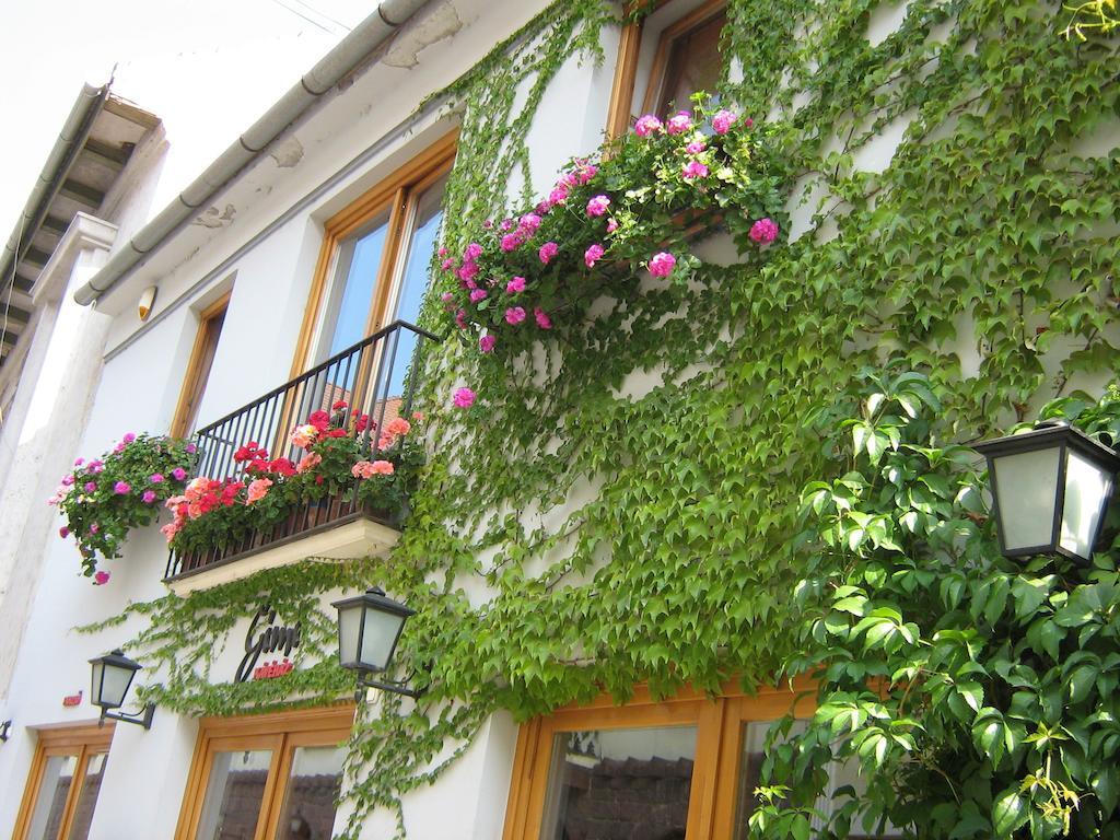 Gimi Vendeghaz Hotel Baja Buitenkant foto
