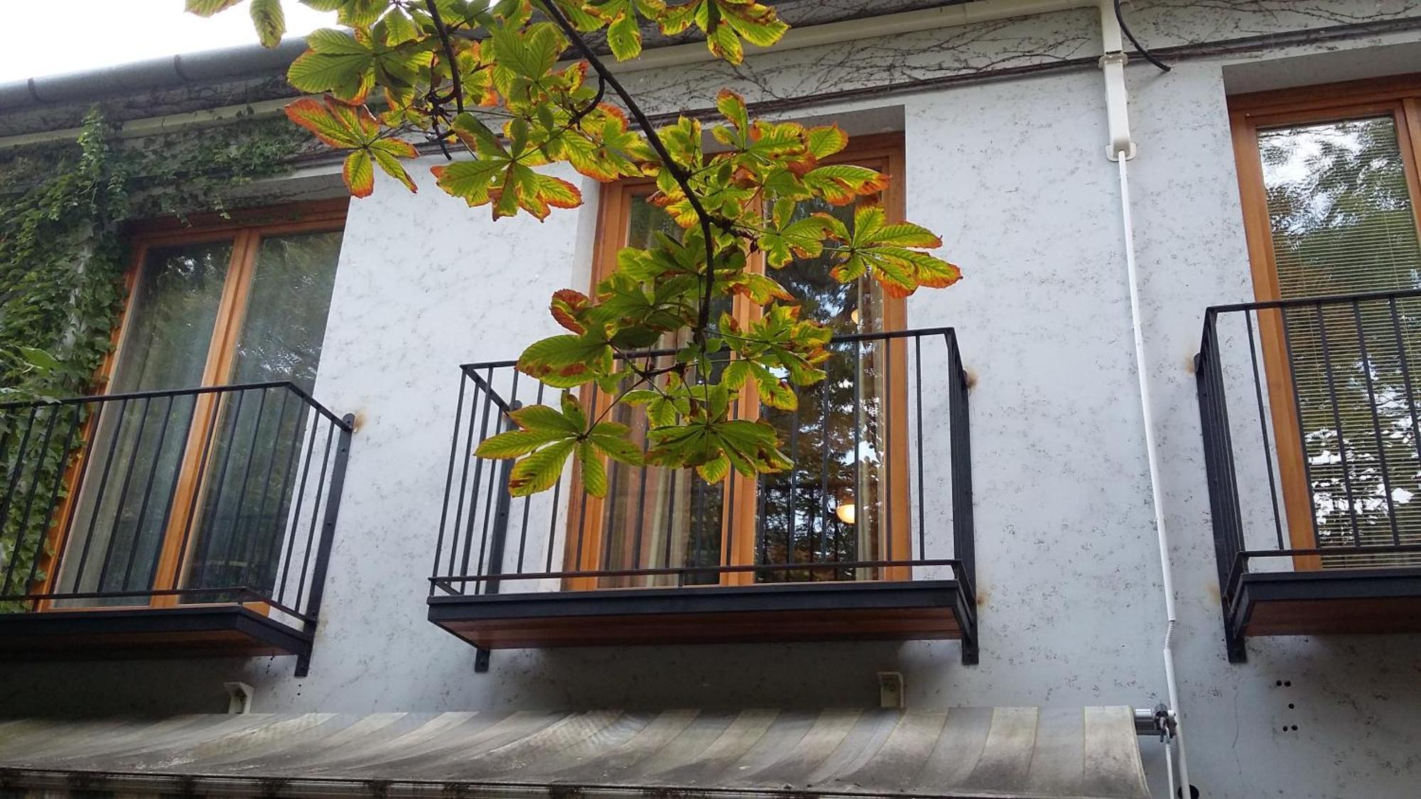 Gimi Vendeghaz Hotel Baja Buitenkant foto
