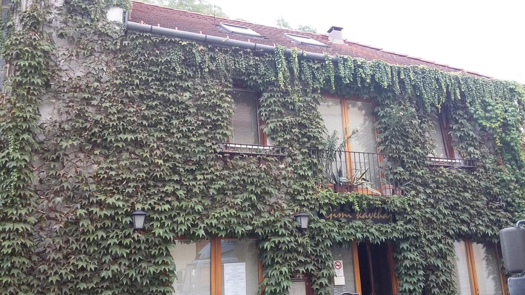 Gimi Vendeghaz Hotel Baja Buitenkant foto